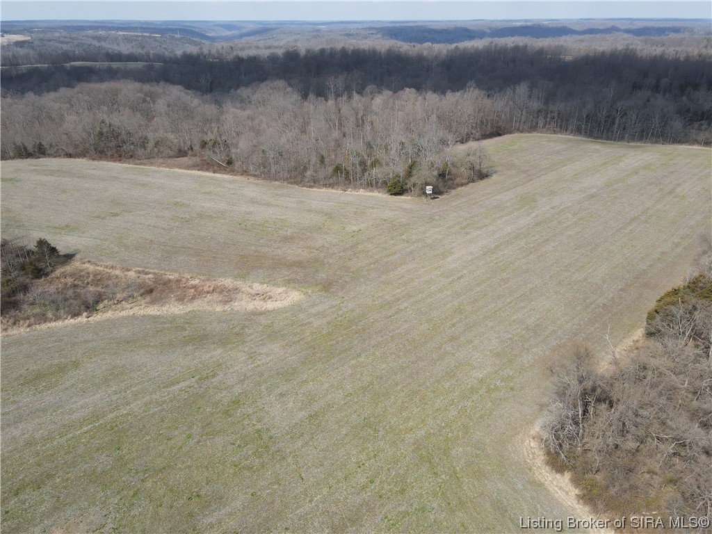 8745 North Hedgeapple Road Madison, IN 47250 - Photo 2 of 34