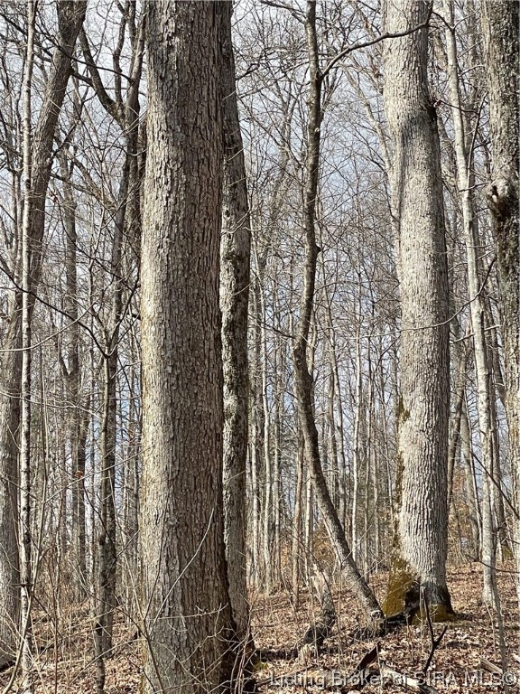 8745 North Hedgeapple Road Madison, IN 47250 - Photo 29 of 34