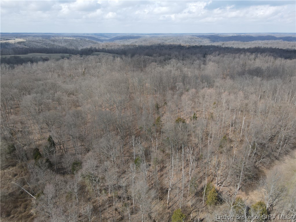 8745 North Hedgeapple Road Madison, IN 47250 - Photo 9 of 34