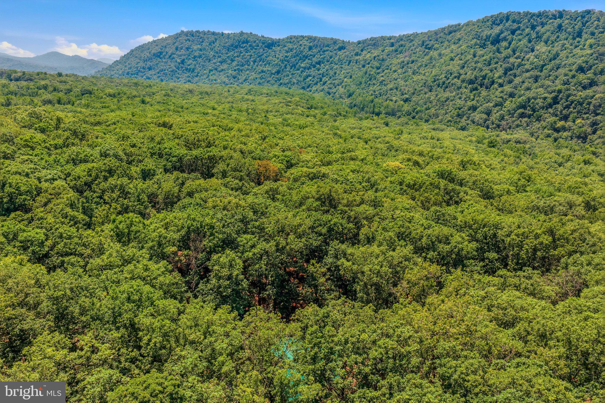 250 Flat Ridge Road Great Cacapon, WV 25422 - Photo 47 of 60 Aerial View