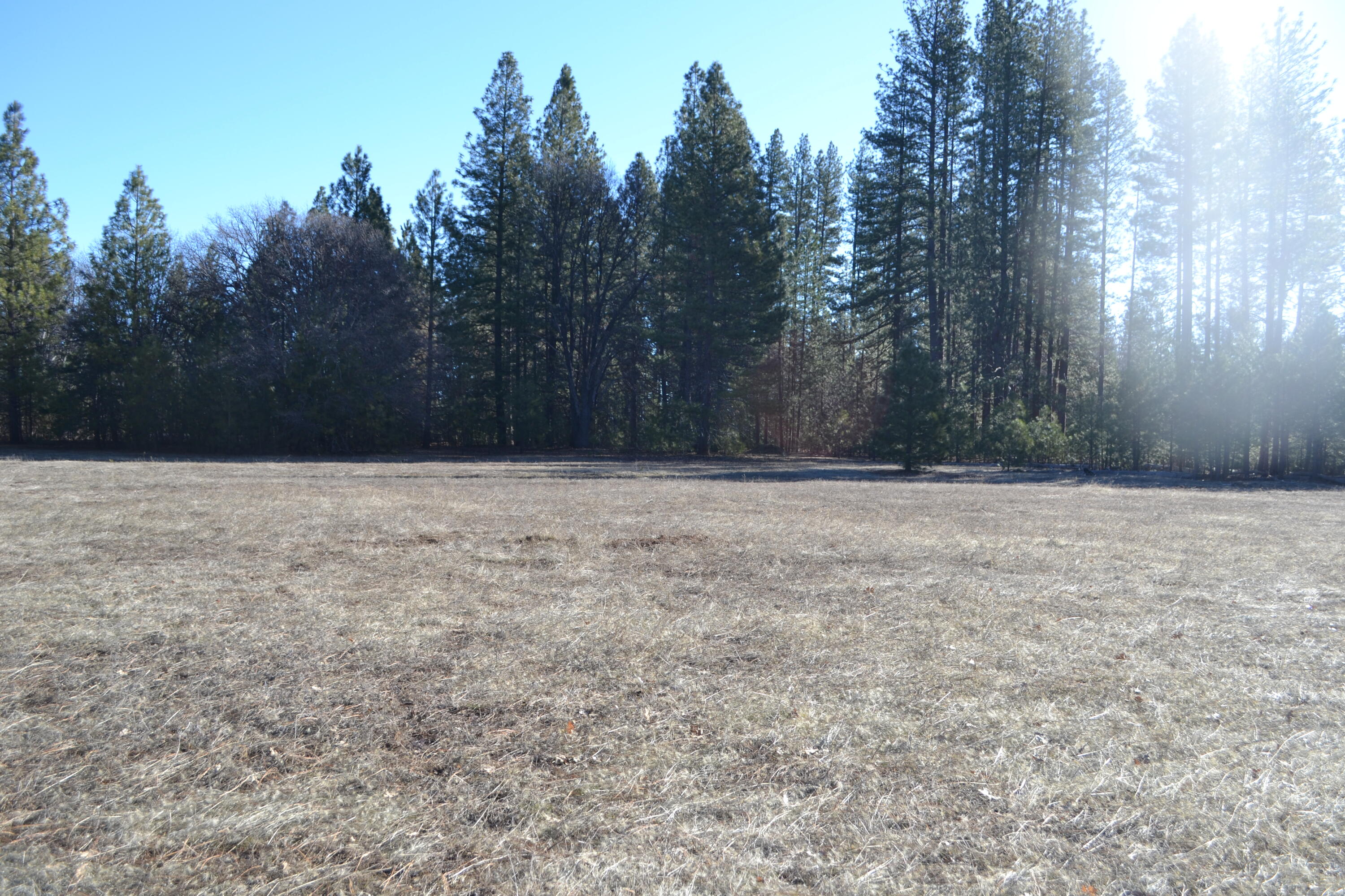 Soldier Mountain Road Fall River Mills, CA 96028 - Photo 12 of 12 a view of wooden fence