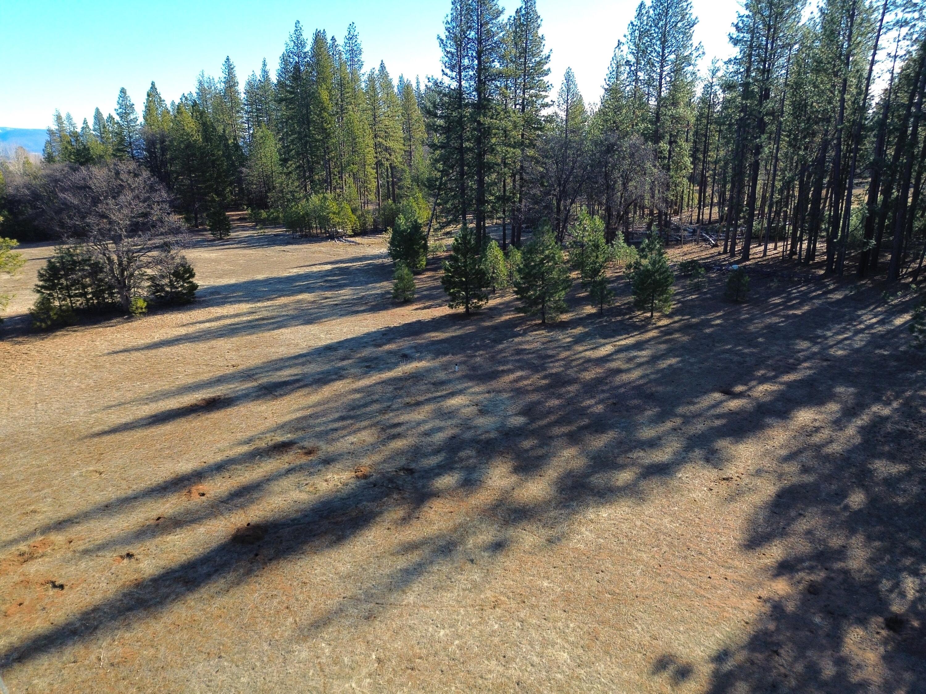 Soldier Mountain Road Fall River Mills, CA 96028 - Photo 3 of 12 a view of a yard