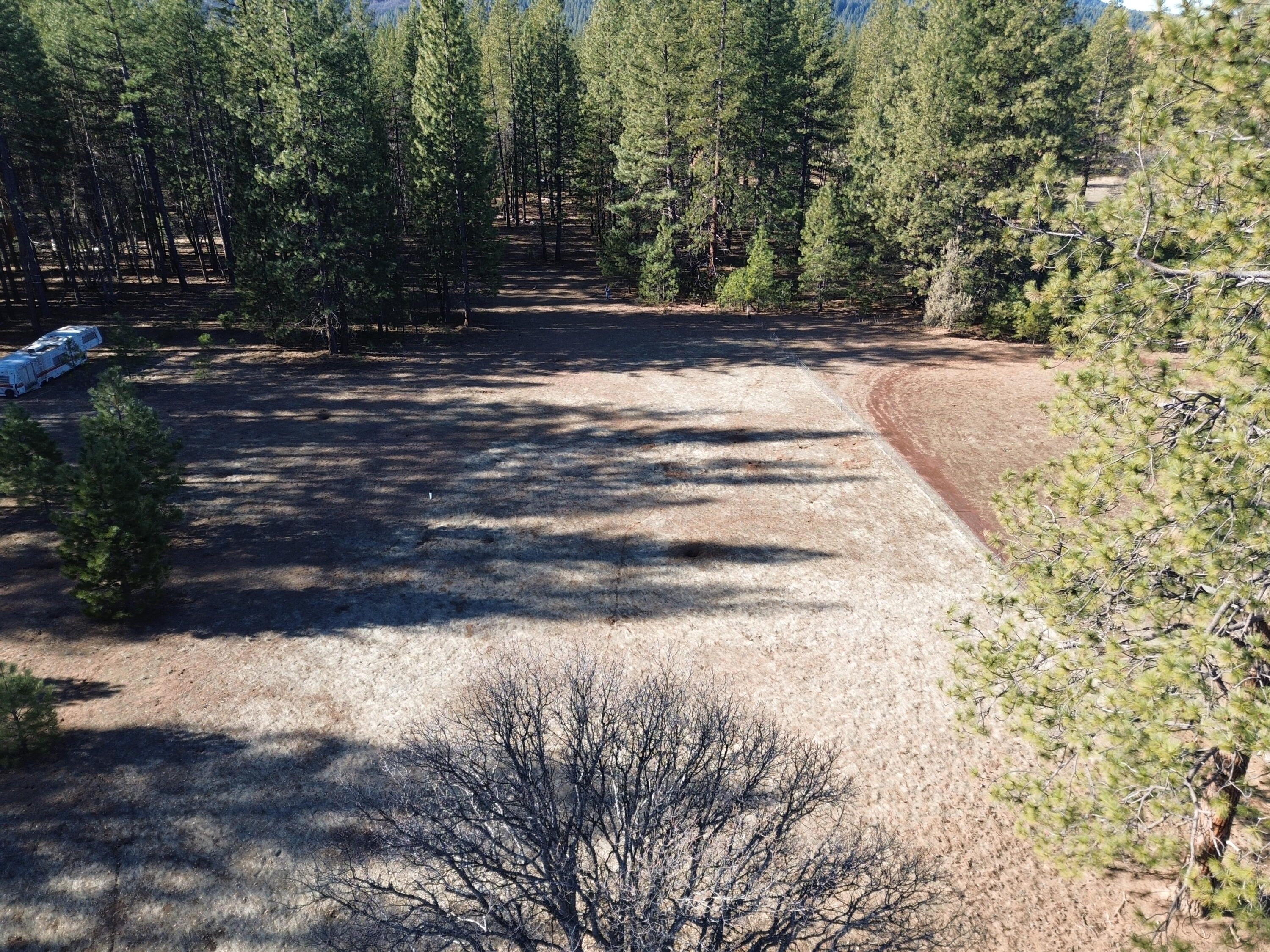 Soldier Mountain Road Fall River Mills, CA 96028 - Photo 4 of 12 a view of a yard