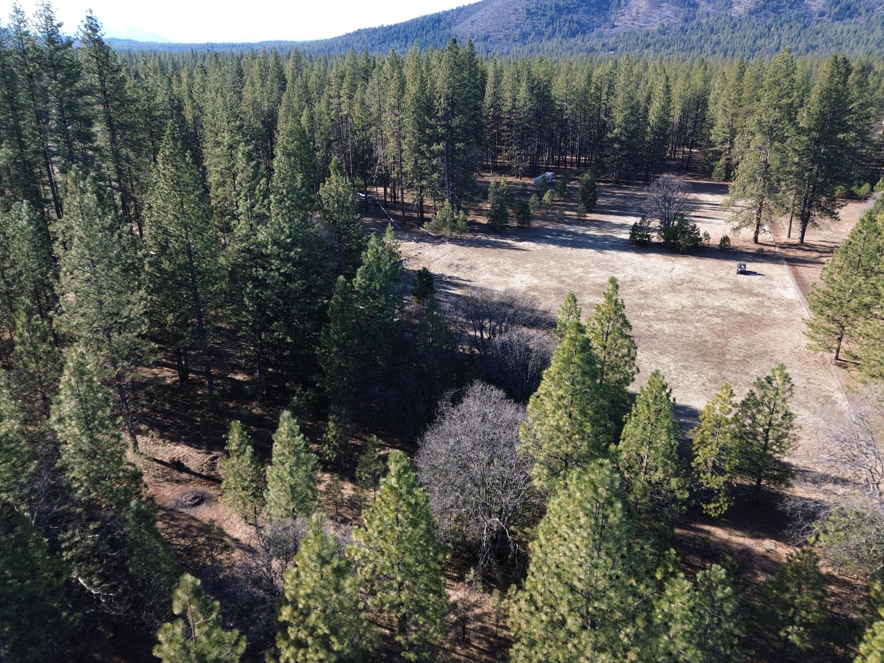 Soldier Mountain Road Fall River Mills, CA 96028 - Photo 5 of 12 a view of outdoor space with city view