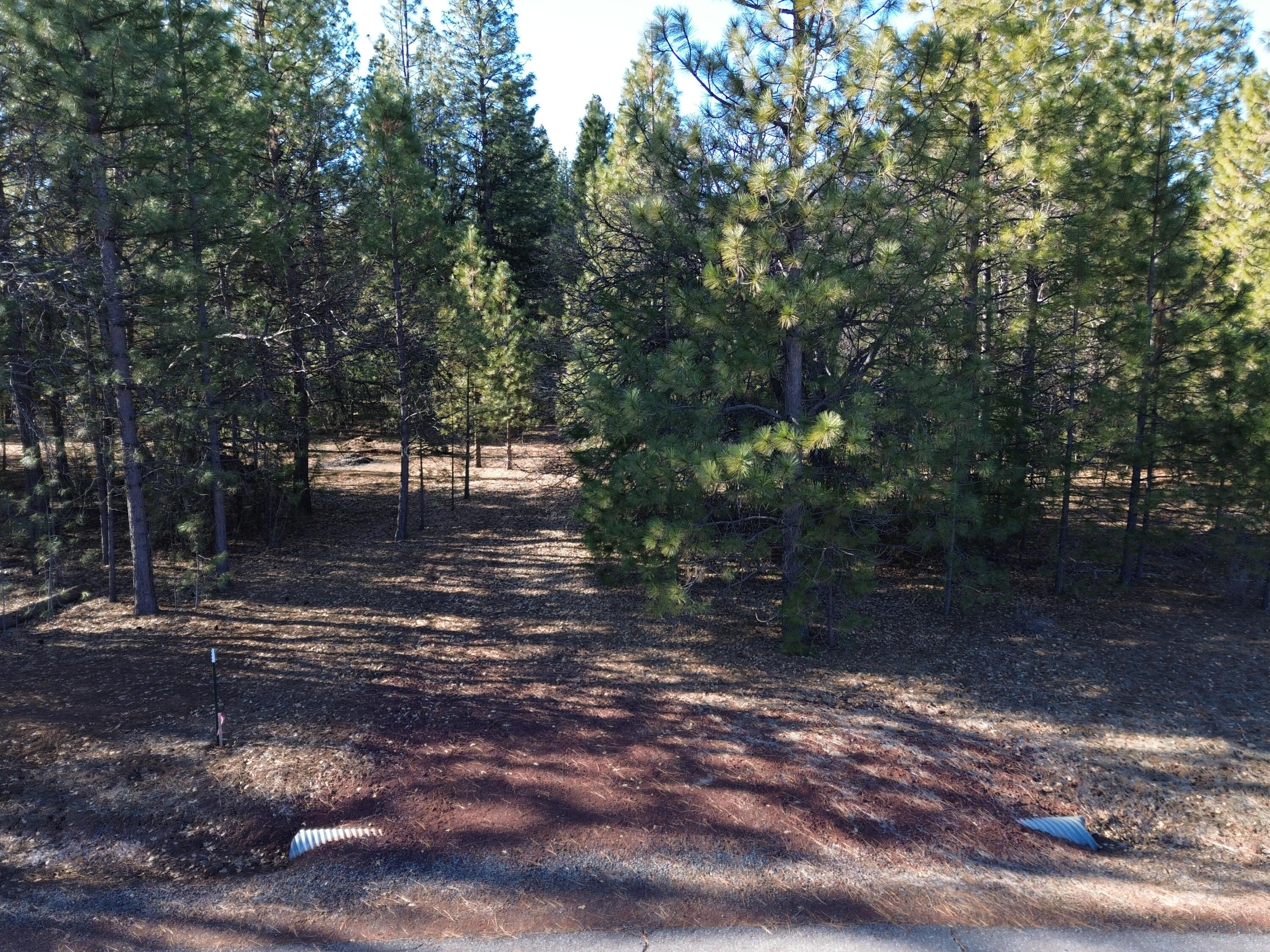 Soldier Mountain Road Fall River Mills, CA 96028 - Photo 6 of 12 a view of yard