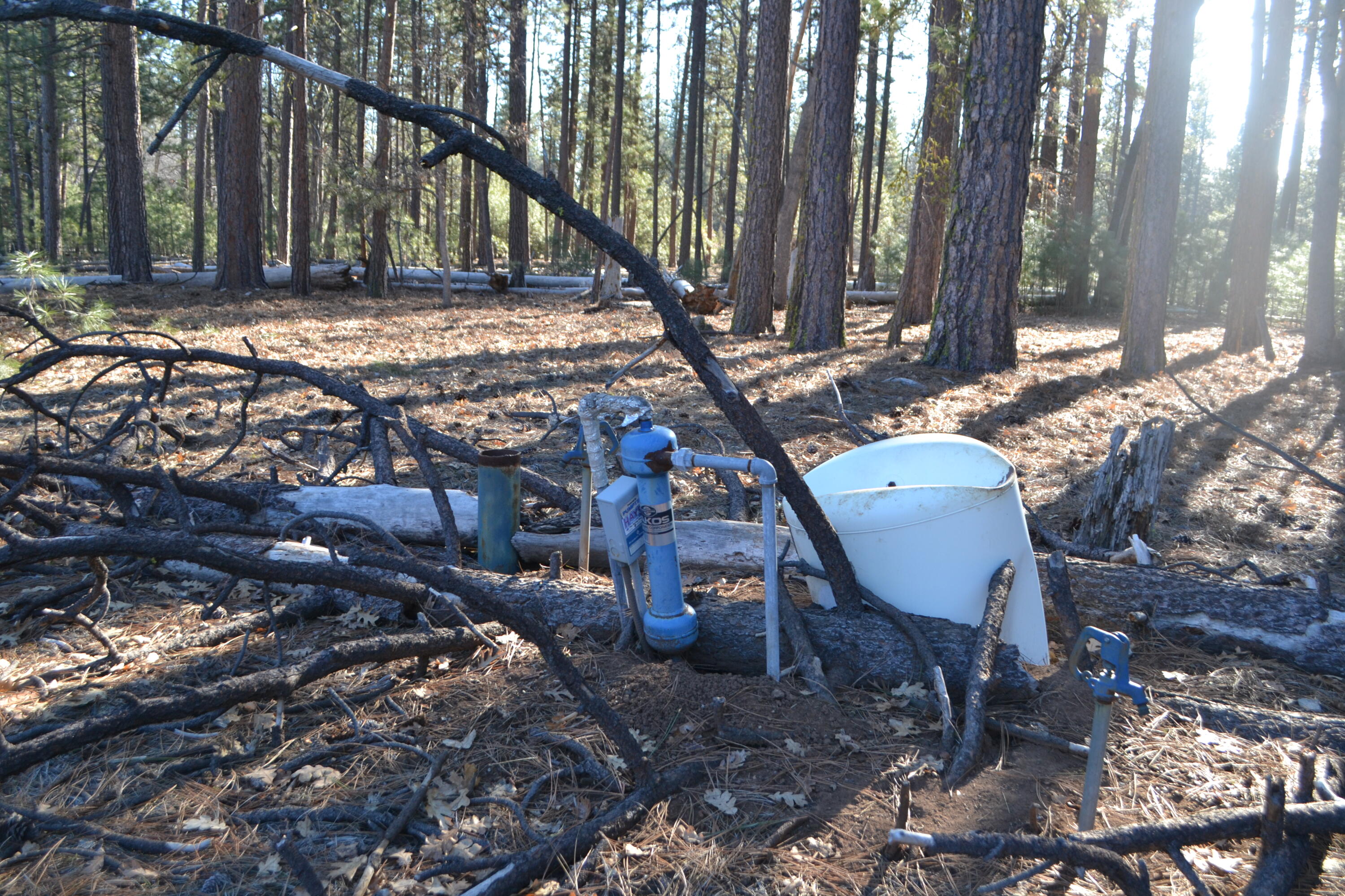 Soldier Mountain Road Fall River Mills, CA 96028 - Photo 9 of 12 a view of outdoor space and yard