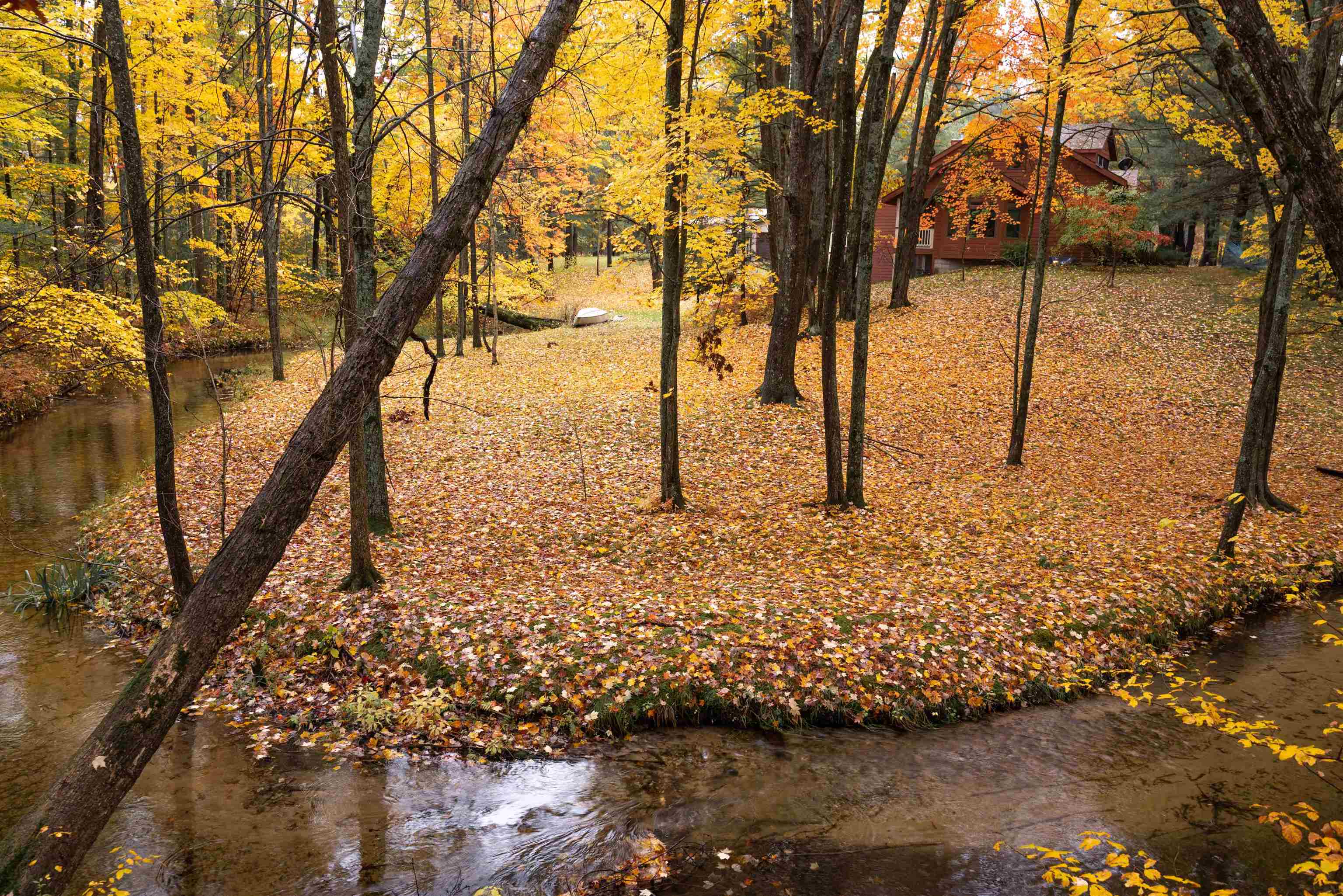 7450 Hall Creek Road Interlochen, MI 49643 - Photo 4 of 98 1906133-3.JPG