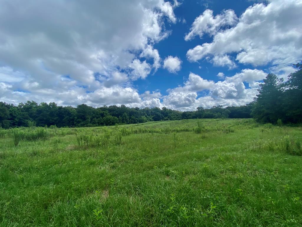 351 Singhal Road Quitman, GA 31643 - Photo 1 of 1 Main View