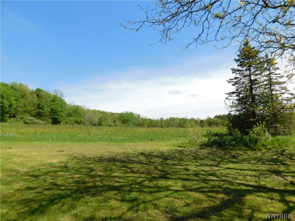 5467 Twichell Road Ashford, NY 14171 - Photo 9 of 30