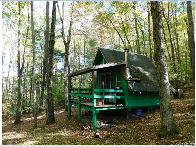 8005 Johnson Hill Road, Unit 2 Clarksville, NY 14715 - Photo 1 of 42