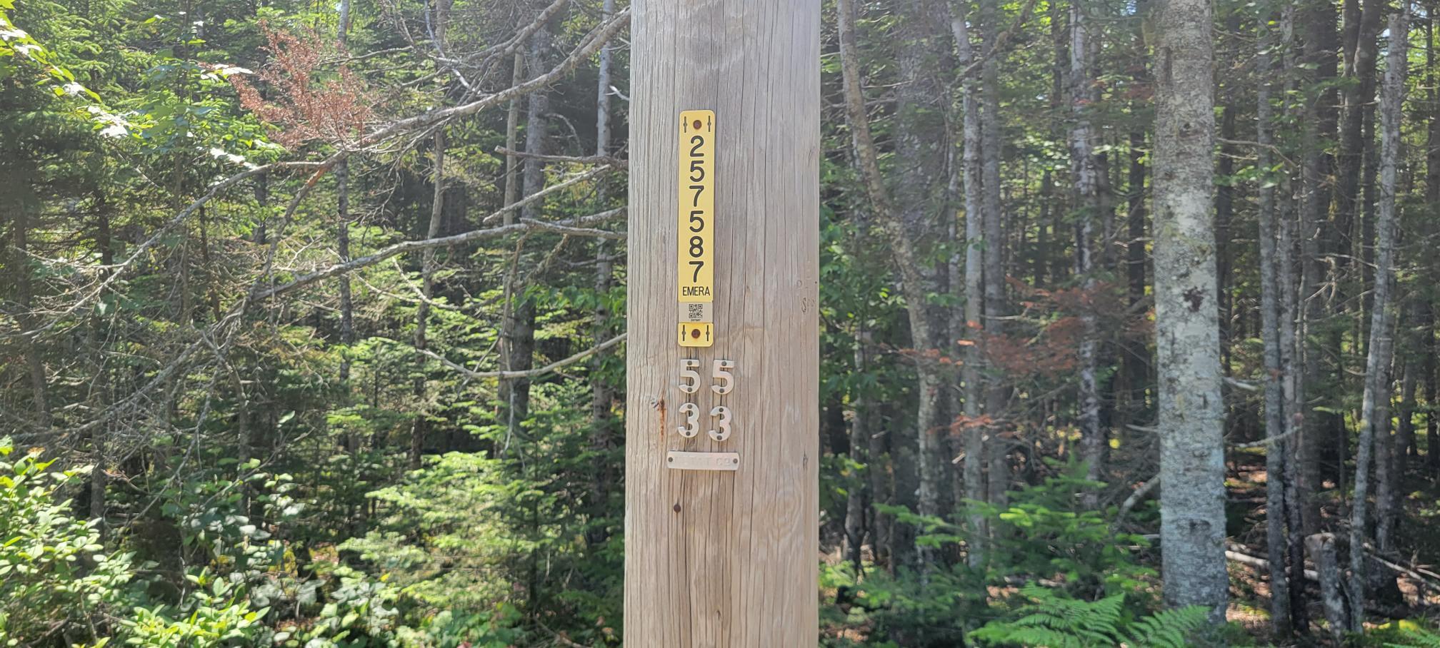 Lot 84 Duck Cove Road Roque Bluffs, ME 04654 - Photo 19 of 24 20230712_125205
