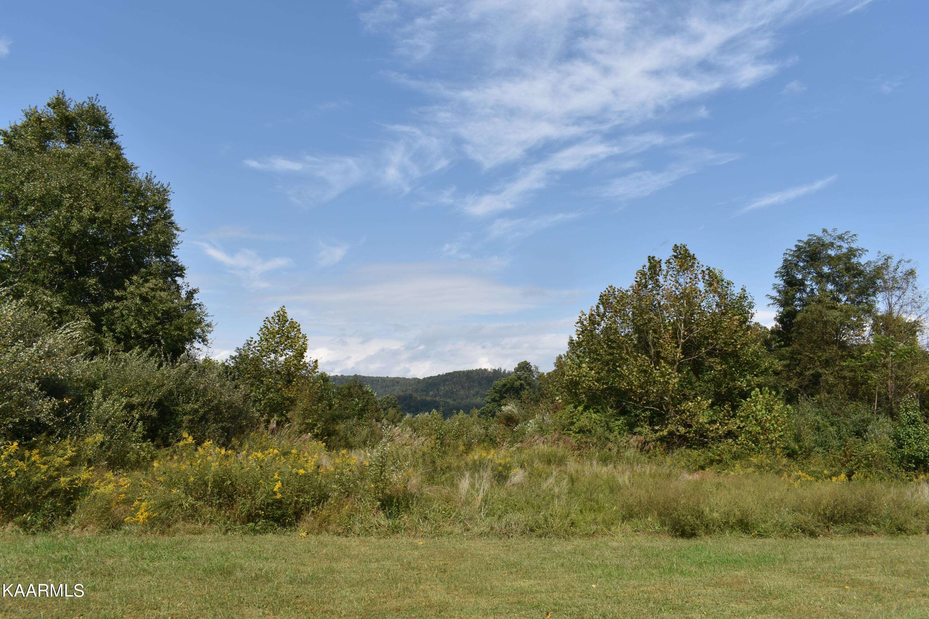 DSC_0051