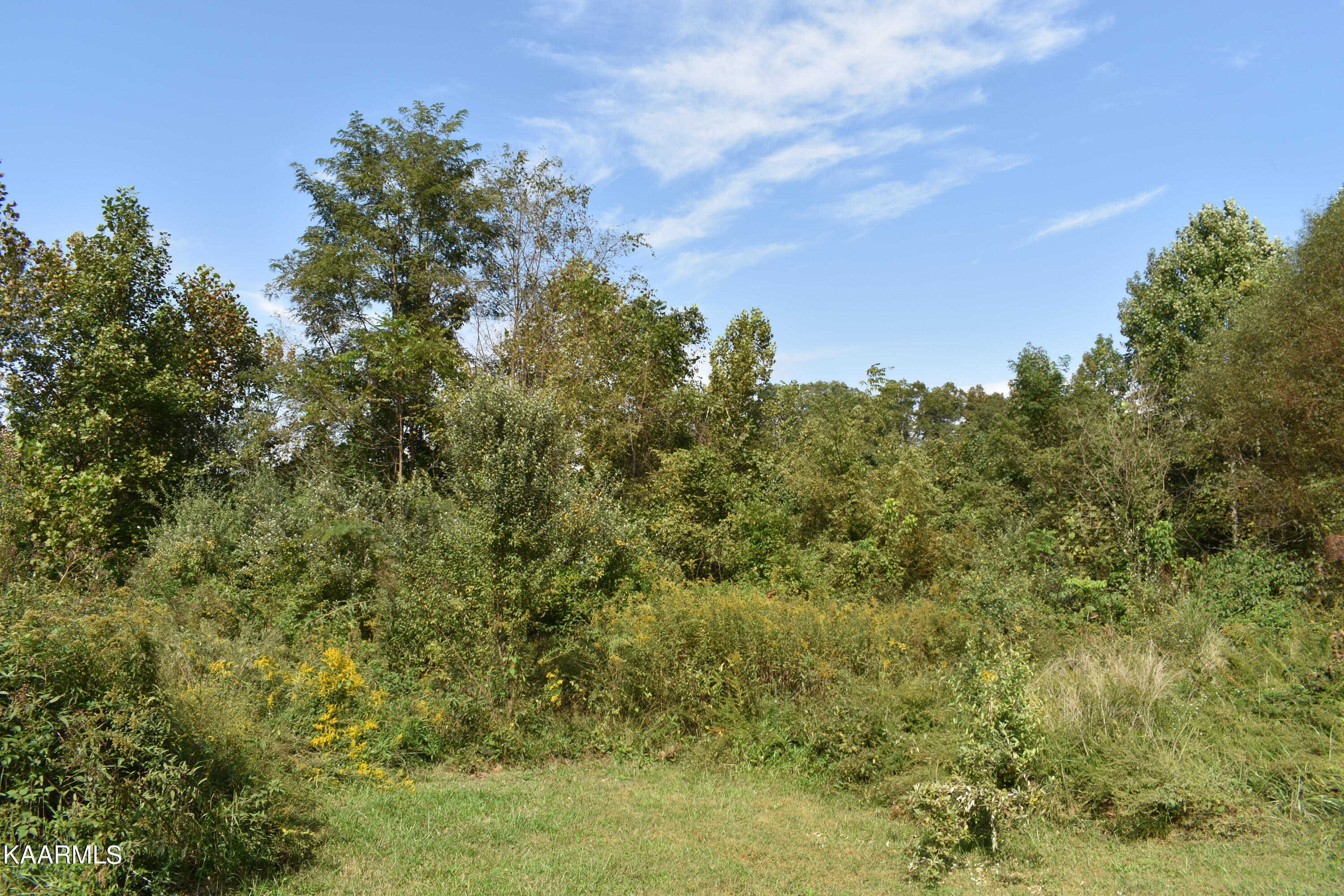 780 Bellwood Road Middlesboro, KY 40965 - Photo 8 of 9 DSC_0052