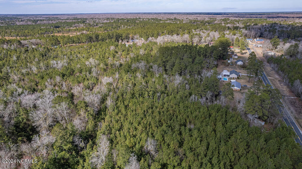 0 Hallsboro Road South Whiteville, NC 28472 - Photo 8 of 27 8