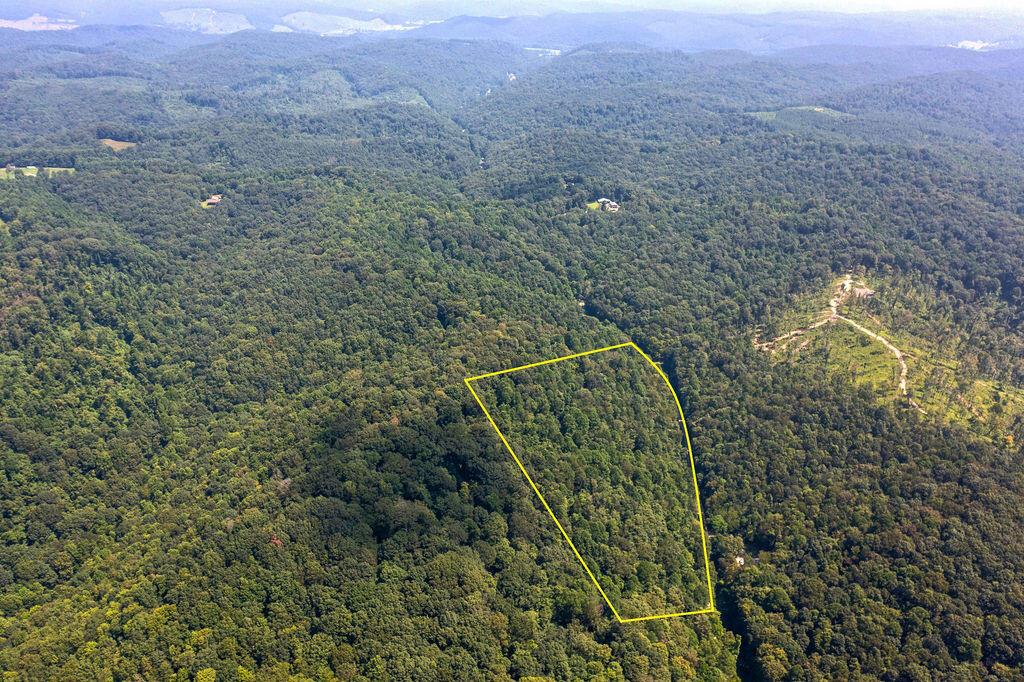 24272 Conrad Road Laurelville, OH 43135 - Photo 4 of 32 4-Aerial Boundary-4