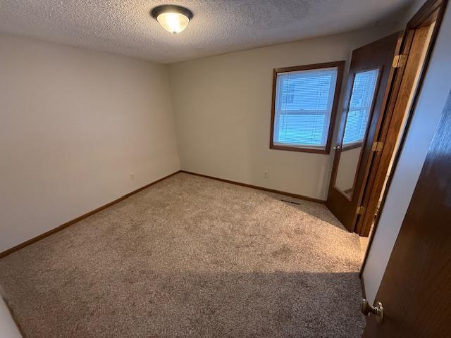 5340 Main Street East Maple Plain, MN 55359 - Photo 7 of 21