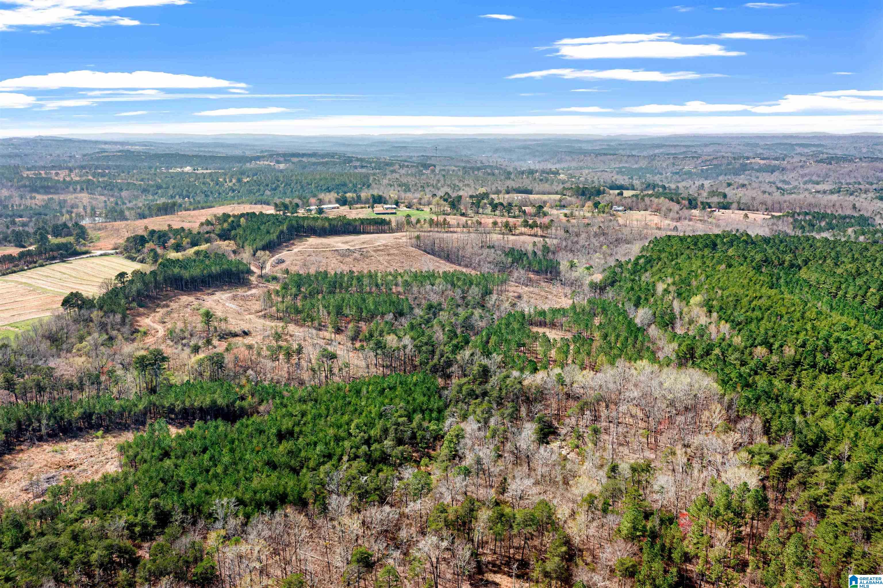 0 Frost Road, Unit 100 / ACRES Springville, AL 35146 - Photo 44 of 60