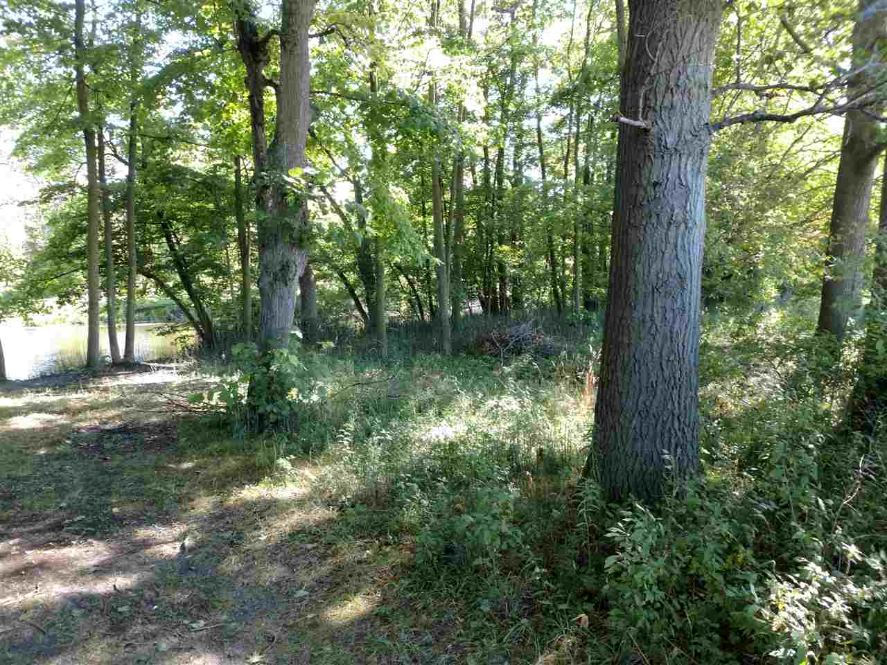 0 West Pine River Road Standish, MI 48658 - Photo 2 of 9 1837940-1.JPG