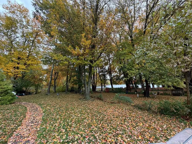 a view of a yard with plants and trees