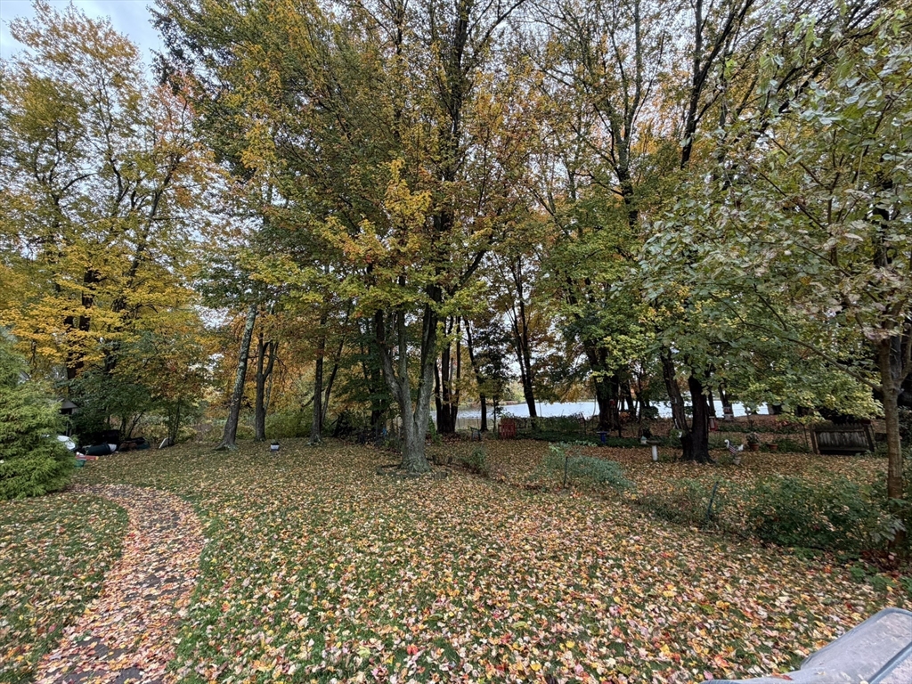 90 High Street, Unit 2 Mansfield, MA 02048 - Photo 14 of 20 a view of a yard with plants and trees