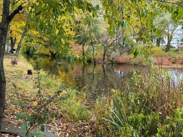 a view of a lake view