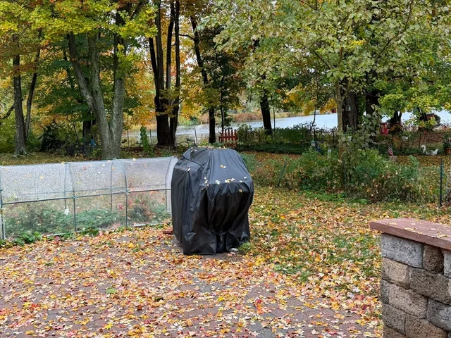 a view of a backyard