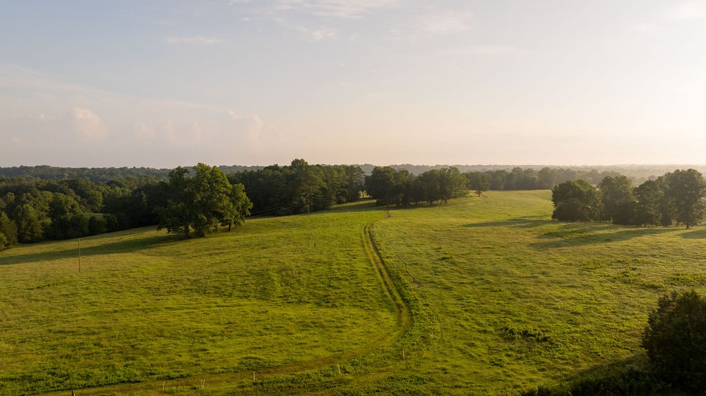 1130 Maple Valley Road Cumberland Furnace, TN 37051 - Photo 18 of 87 Gallery Image 18