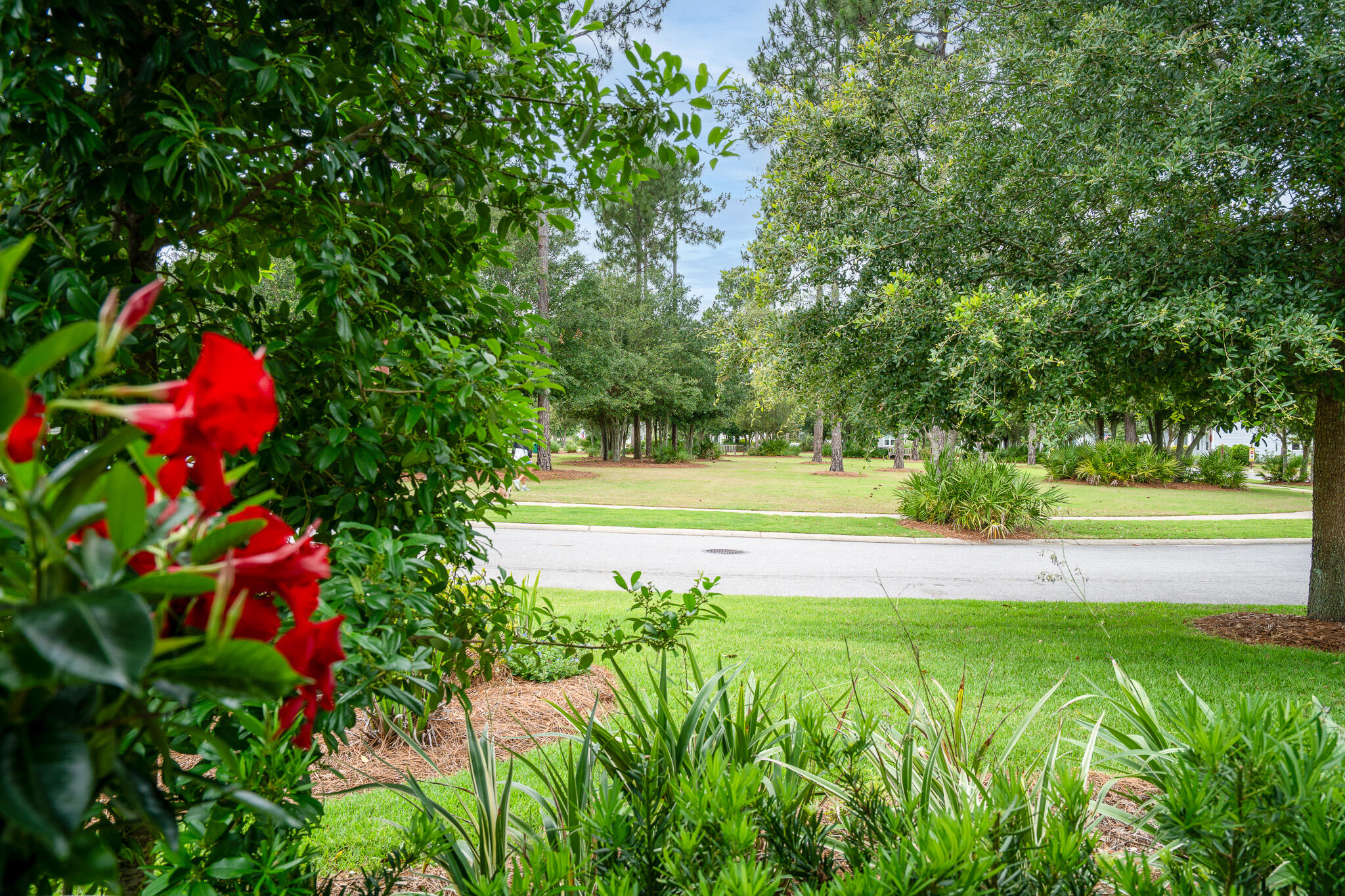 229 Sandchase Circle Inlet Beach, FL 32461 - Photo 8 of 107 Exterior - Front Porch