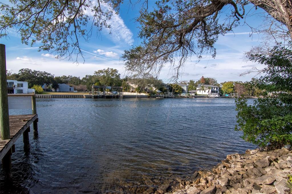 3306 North Perry Avenue Tampa, FL 33603 - Photo 4 of 78 a view of lake with mountain
