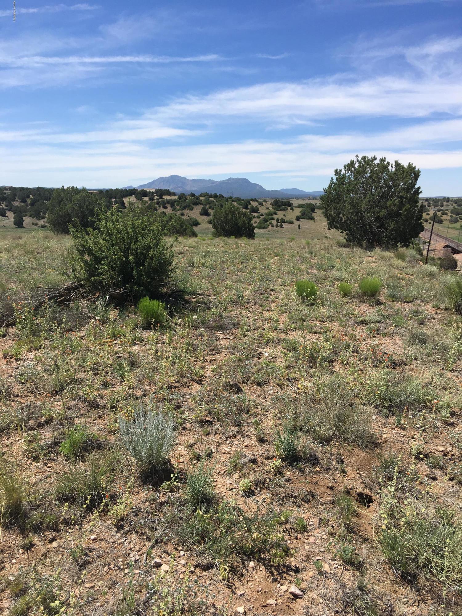 8201 Dillon Wash Road Prescott, AZ 86305 - Photo 11 of 18 a view of a field with an ocean