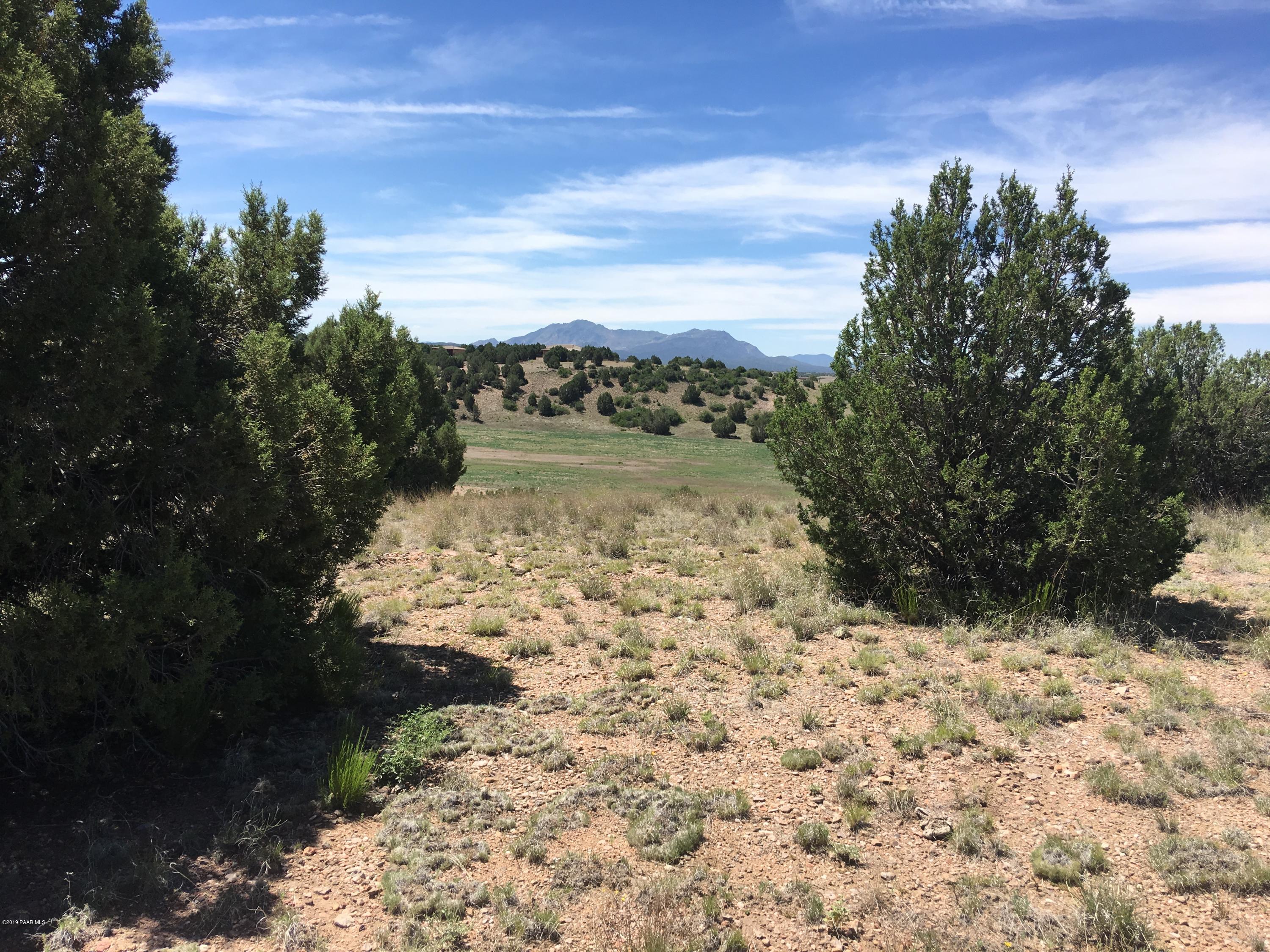 8201 Dillon Wash Road Prescott, AZ 86305 - Photo 18 of 18 a view of a yard with trees