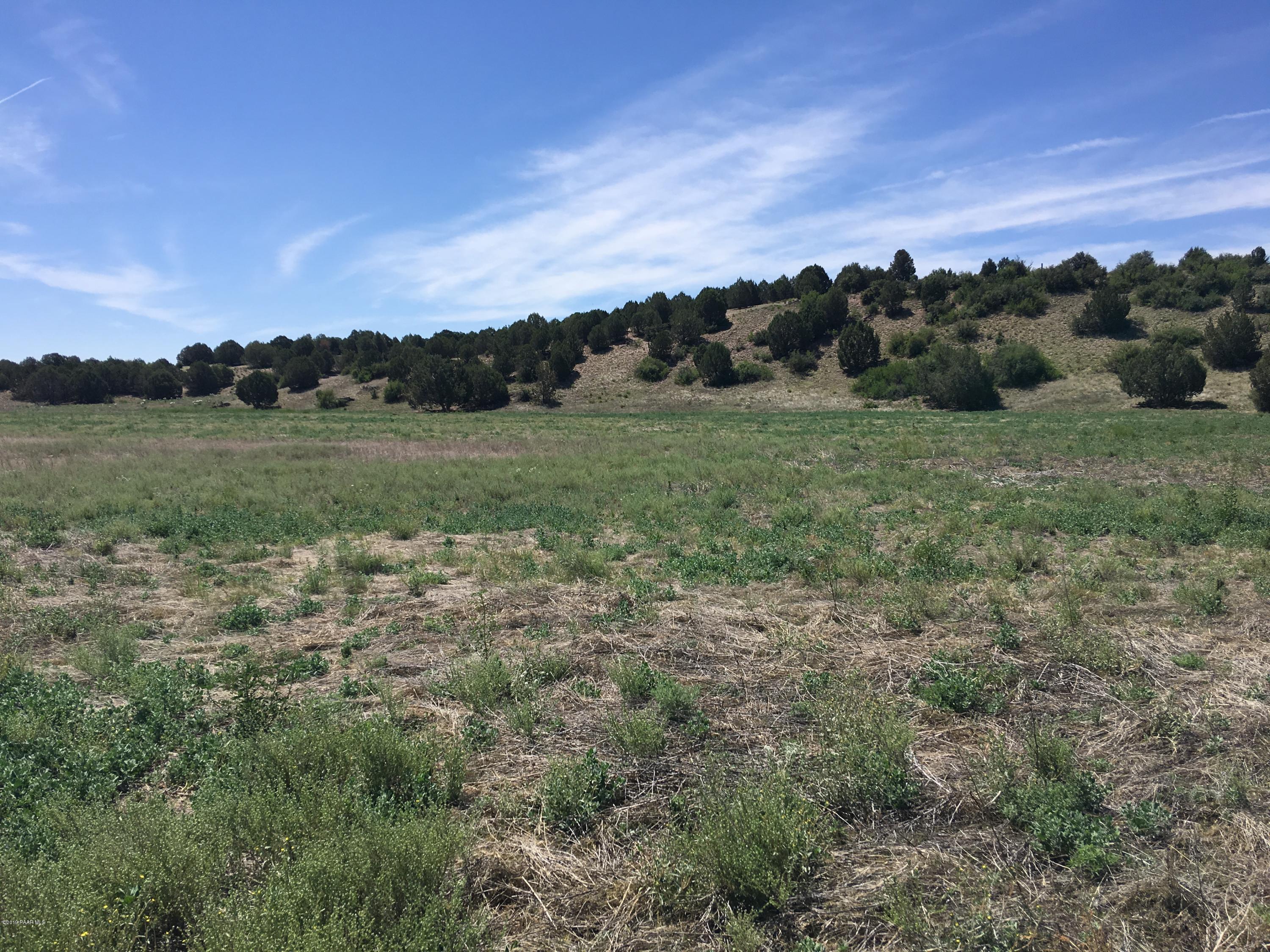 8201 Dillon Wash Road Prescott, AZ 86305 - Photo 3 of 18 a view of a field of grass and trees