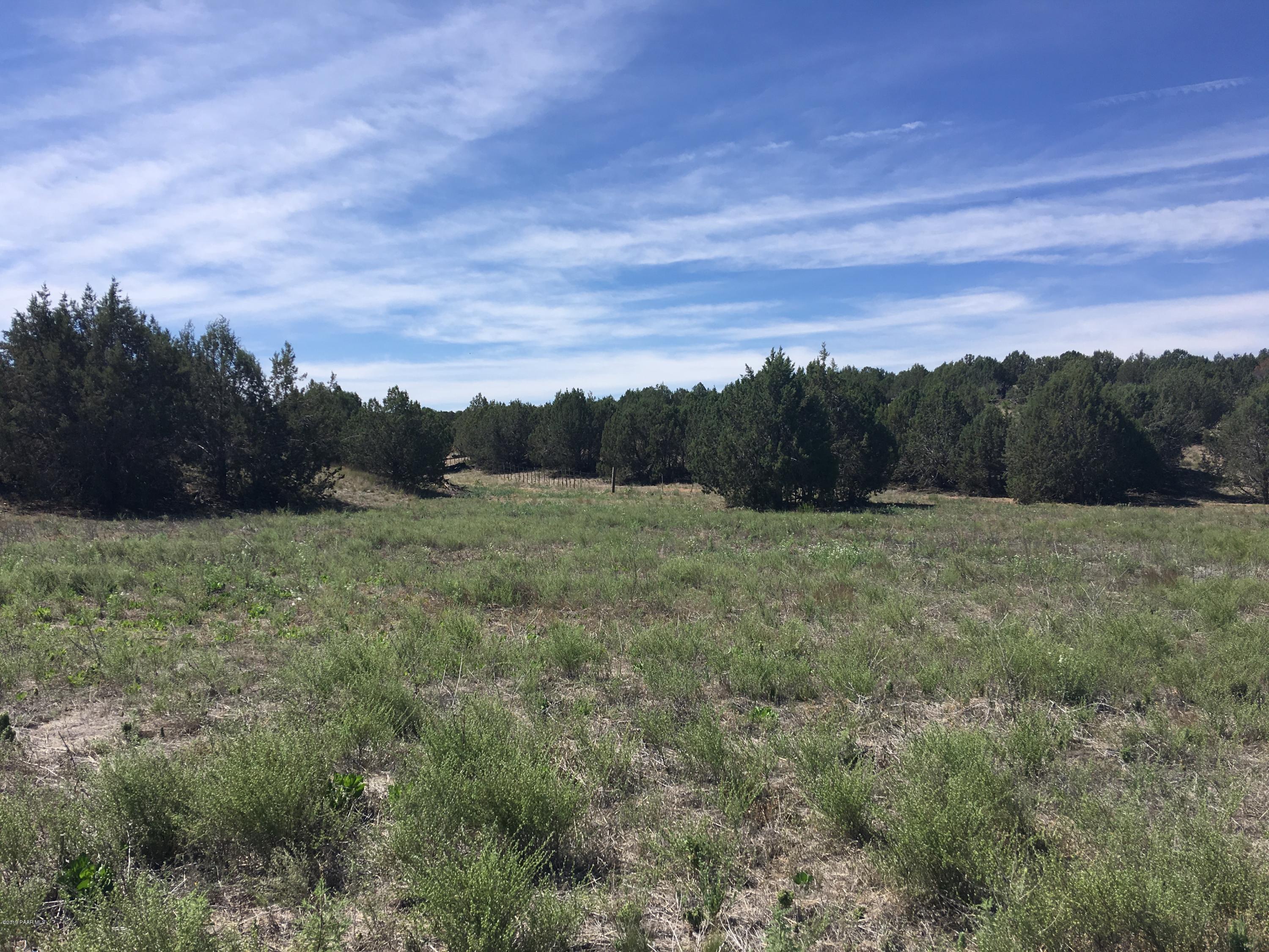 8201 Dillon Wash Road Prescott, AZ 86305 - Photo 8 of 18 a view of a field of grass and trees