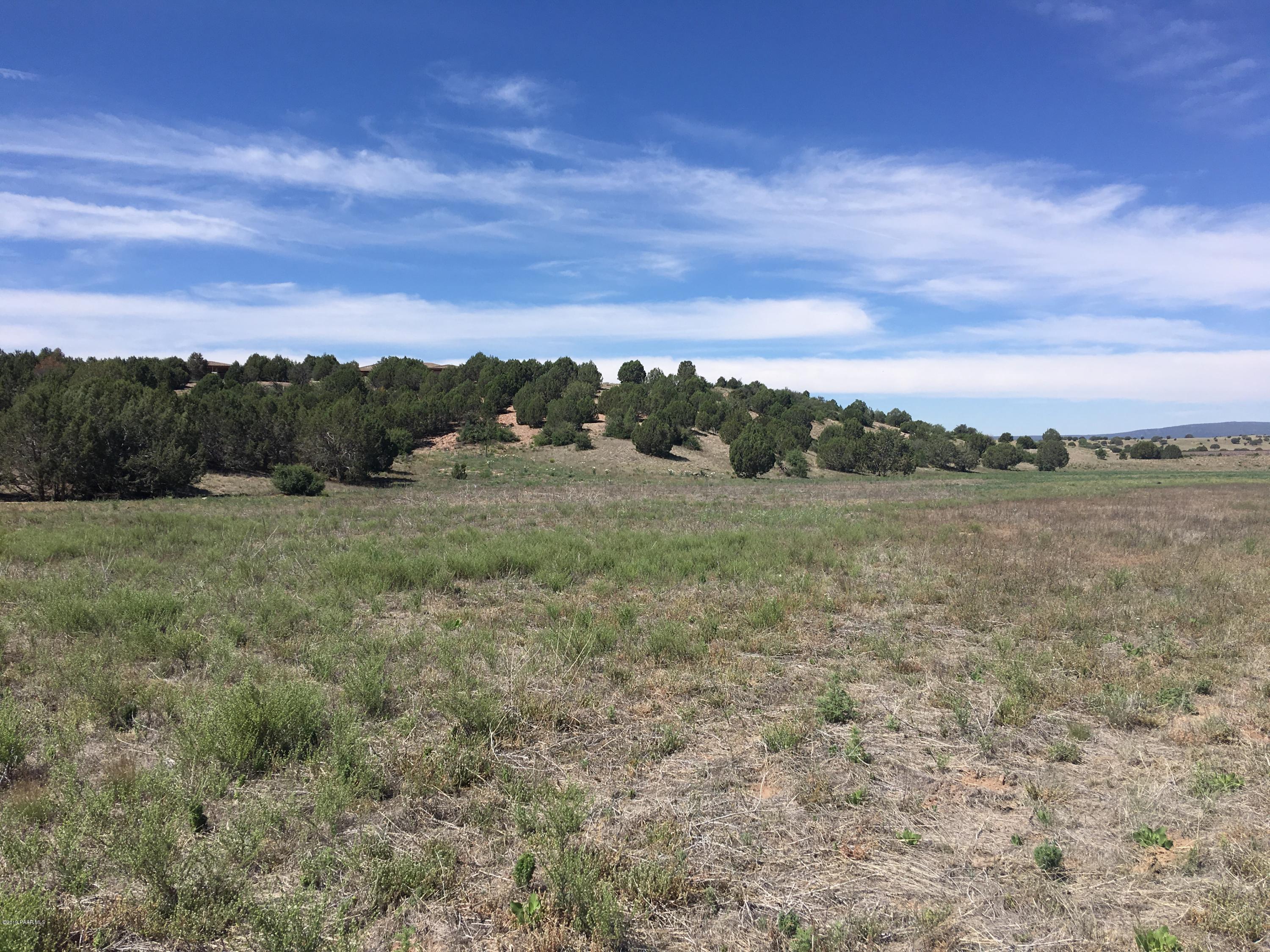 8201 Dillon Wash Road Prescott, AZ 86305 - Photo 10 of 18 a view of a field with trees in background
