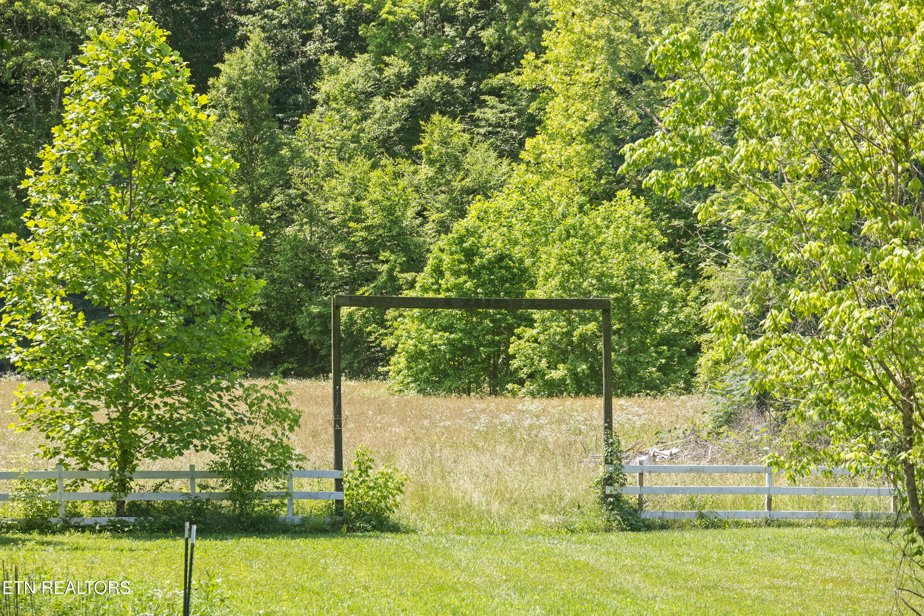 449 Carpenter Road Mooresburg, TN 37811 - Photo 37 of 51 Positive Perceptions-36