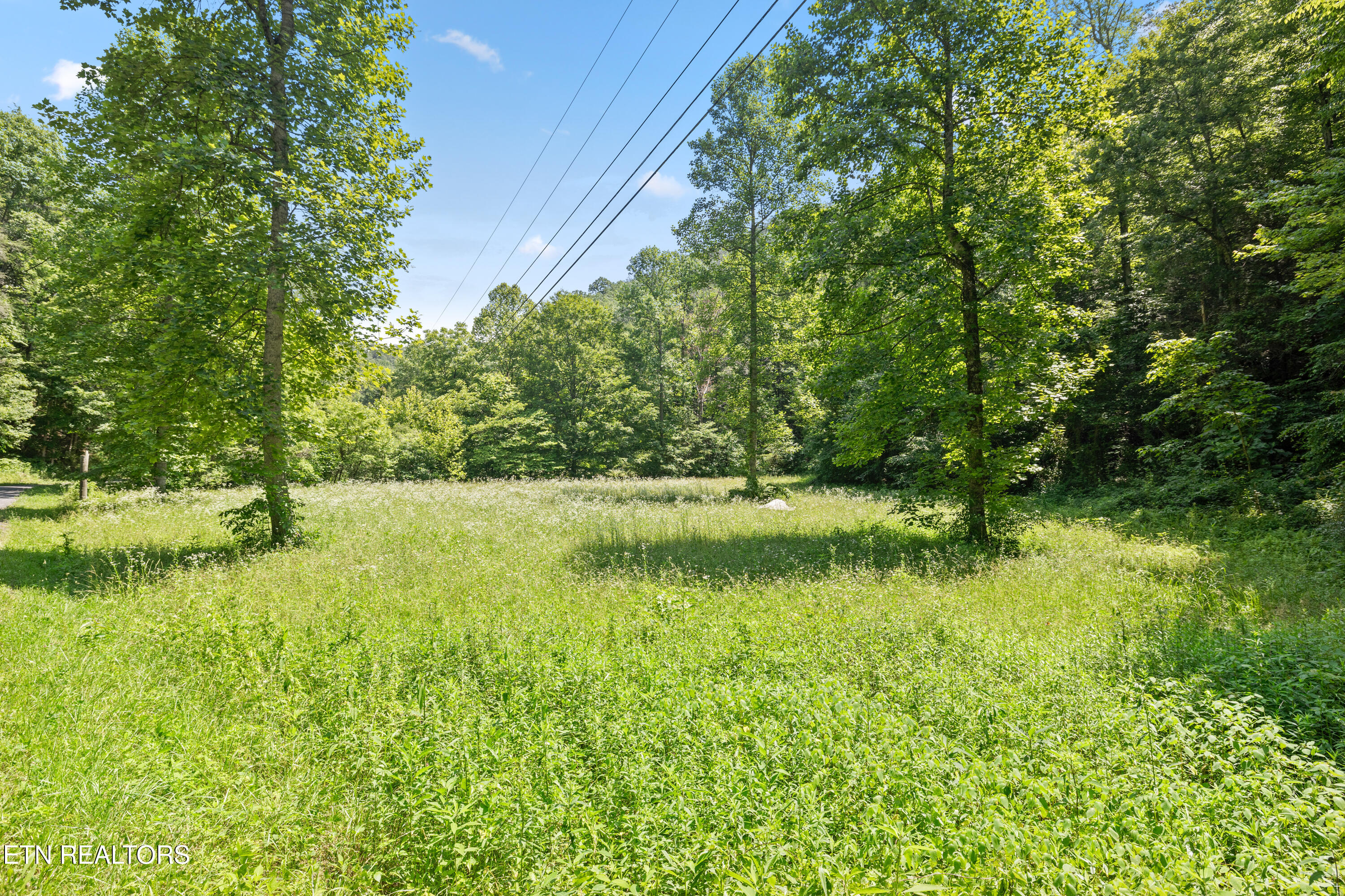 449 Carpenter Road Mooresburg, TN 37811 - Photo 42 of 51 Positive Perceptions-41