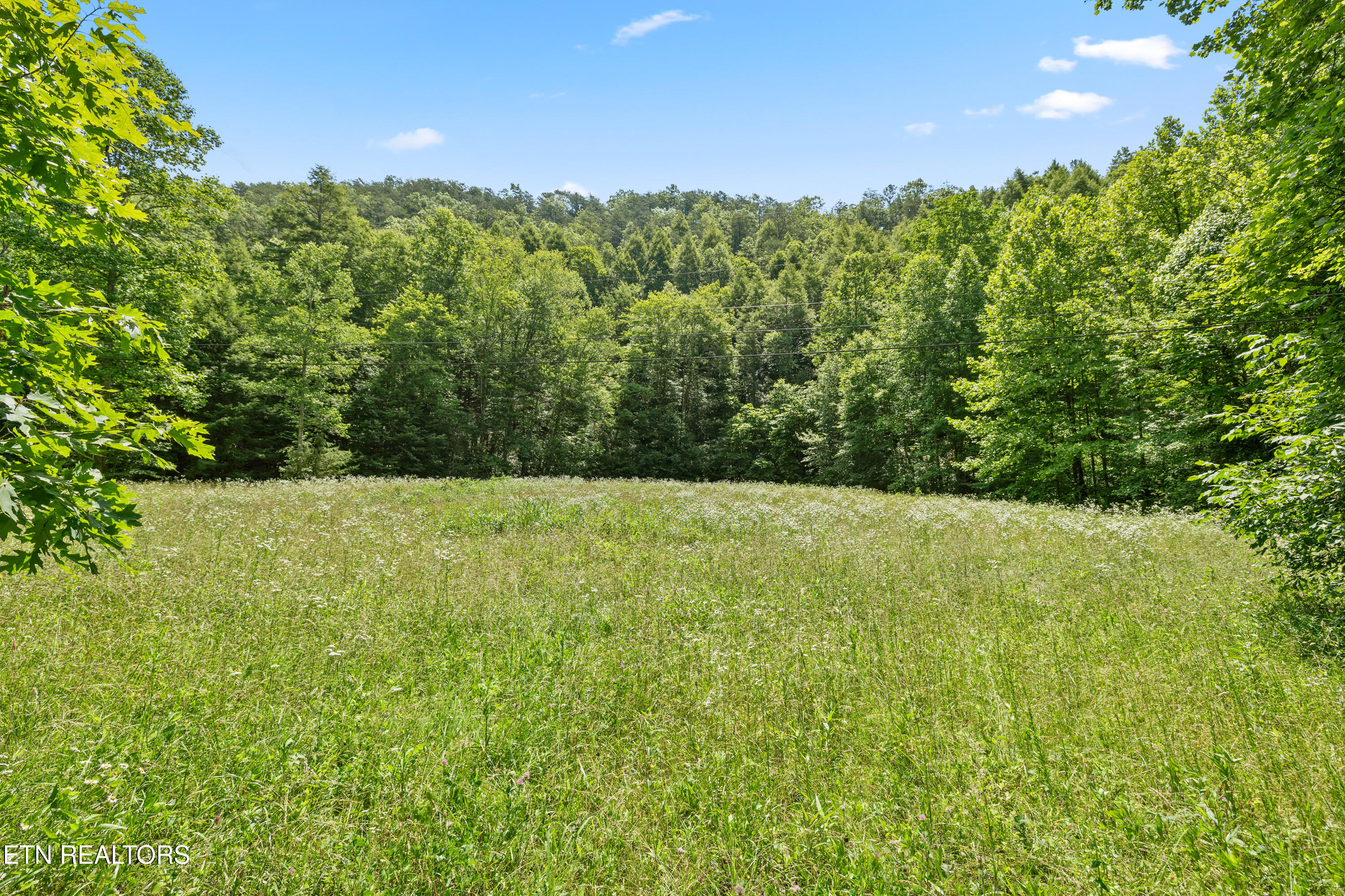 449 Carpenter Road Mooresburg, TN 37811 - Photo 43 of 51 Positive Perceptions-42