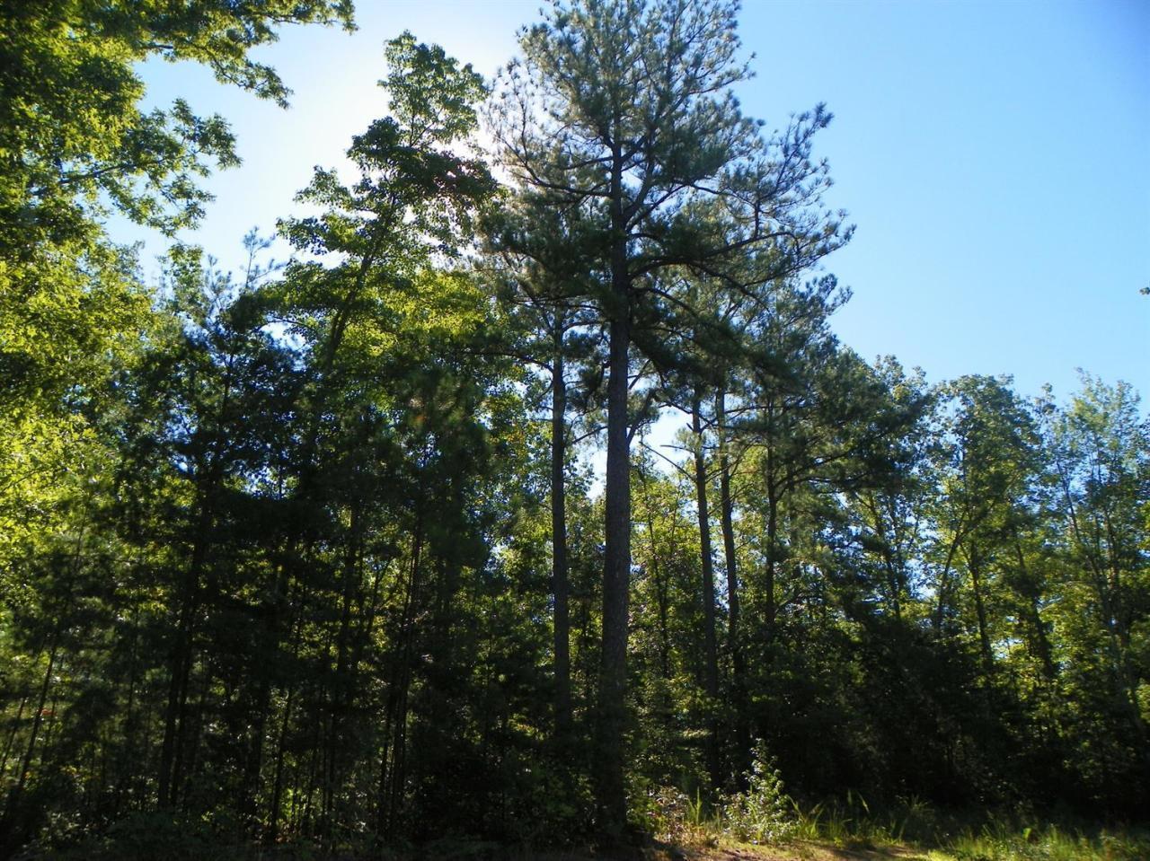 Lot 5 Cave Springs Road Nancy, KY 42544 - Photo 1 of 1 20181018140055719019000000-o