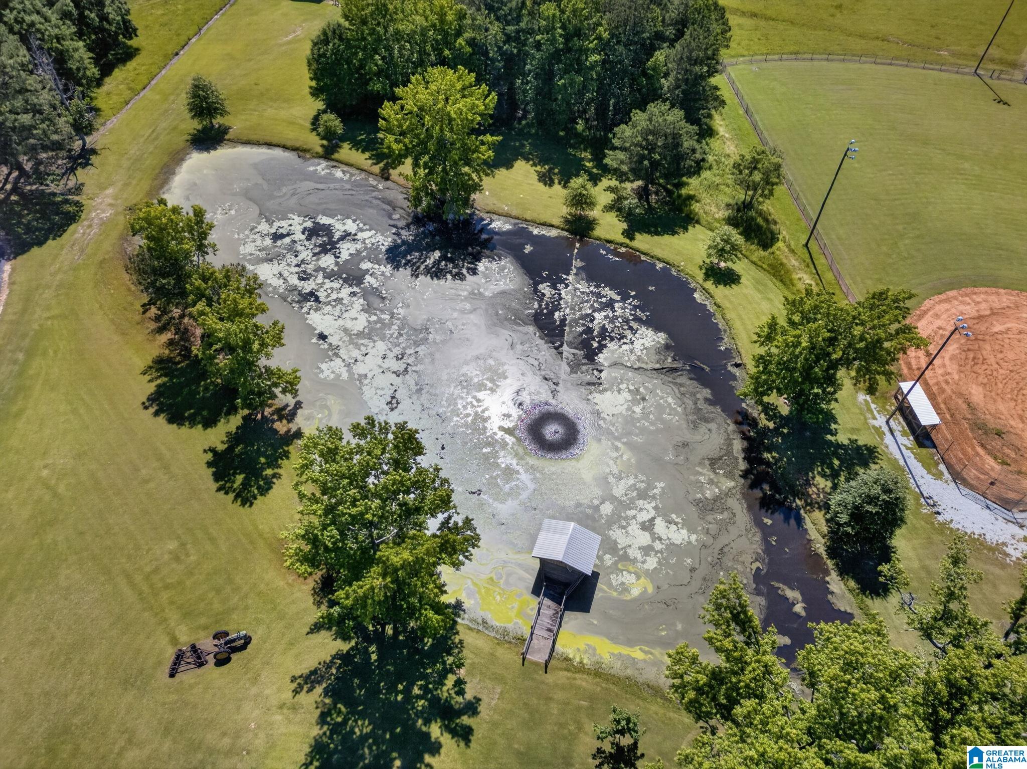 3463 County Road 3 Delta, AL 36258 - Photo 77 of 100