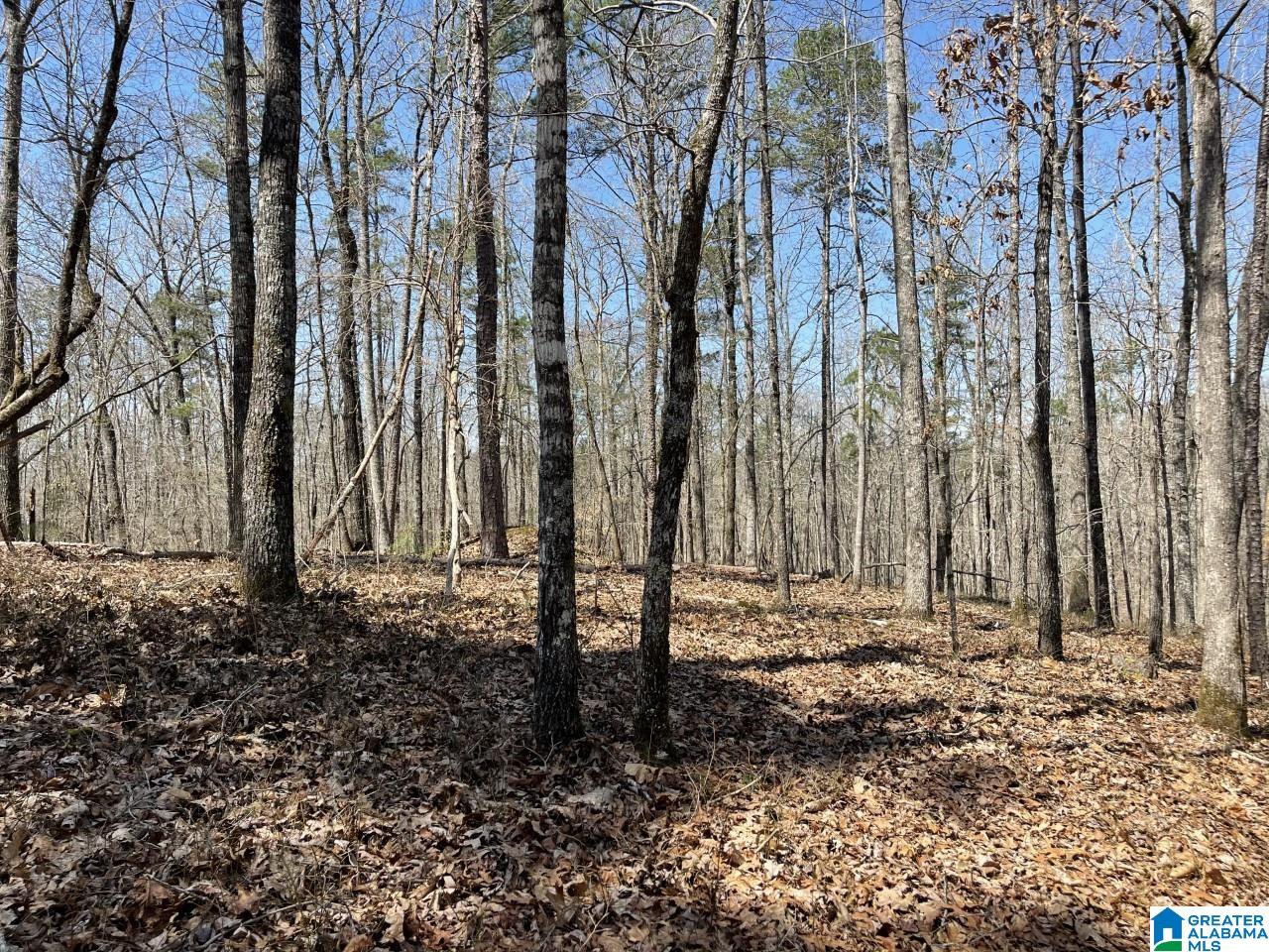 Laurel Way, Unit 79 Wedowee, AL 36278 - Photo 6 of 9