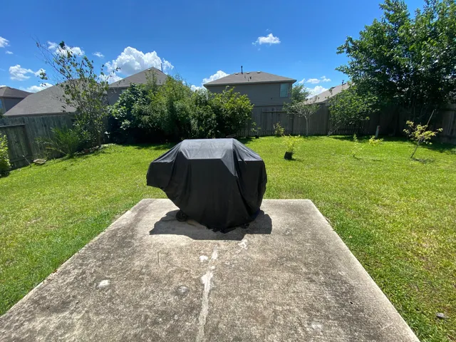 a view of a garden with a bench