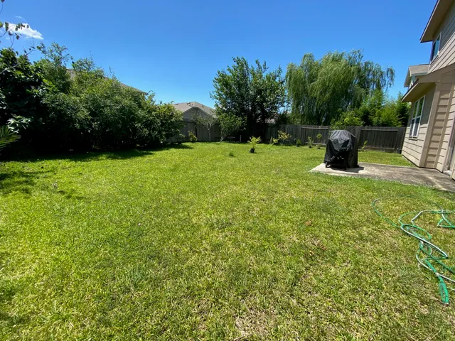 a view of a garden with a tree