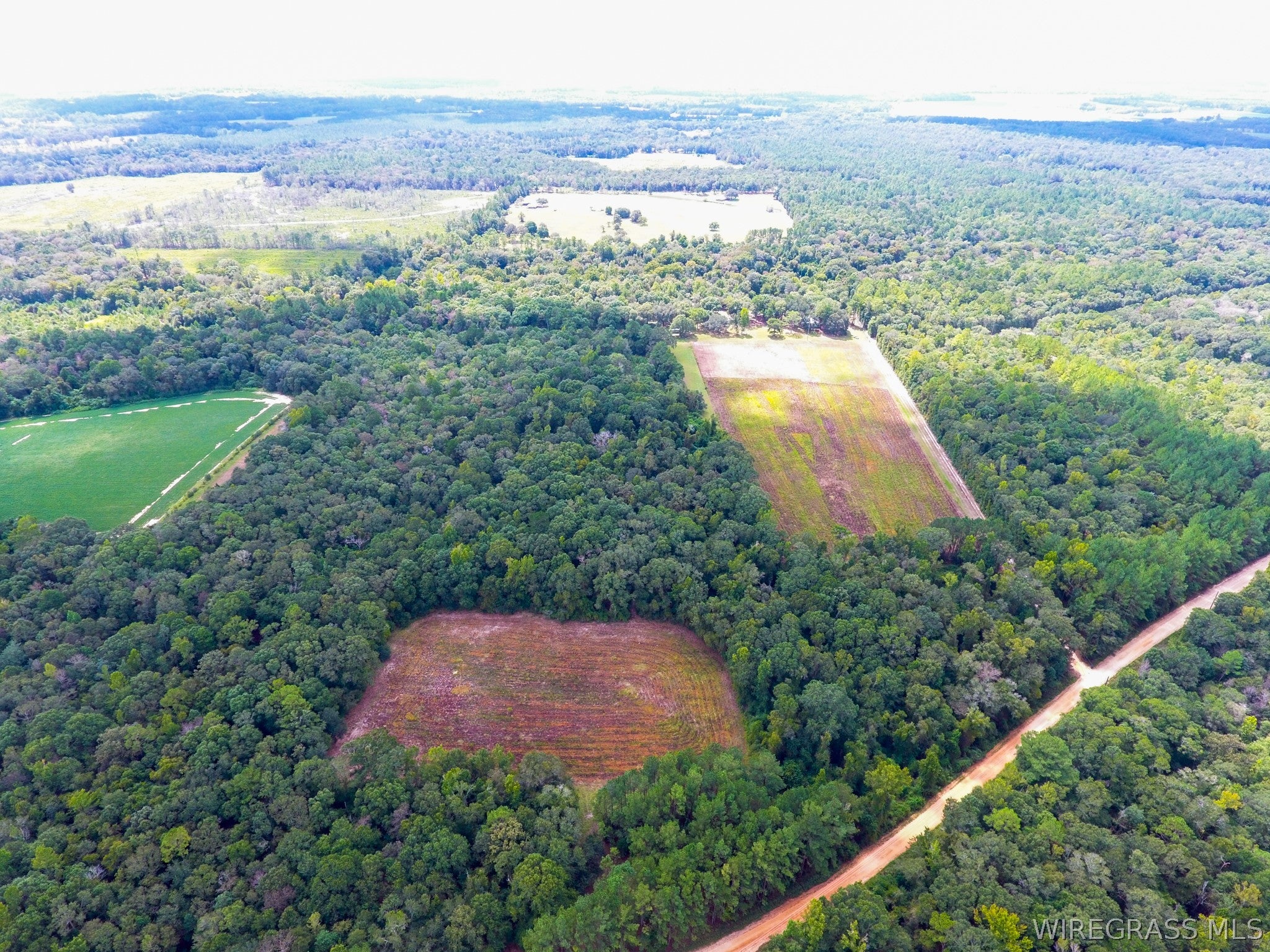 3433 Iron Bridge Road Samson, AL 36477 - Photo 55 of 64 Gallery Image 55