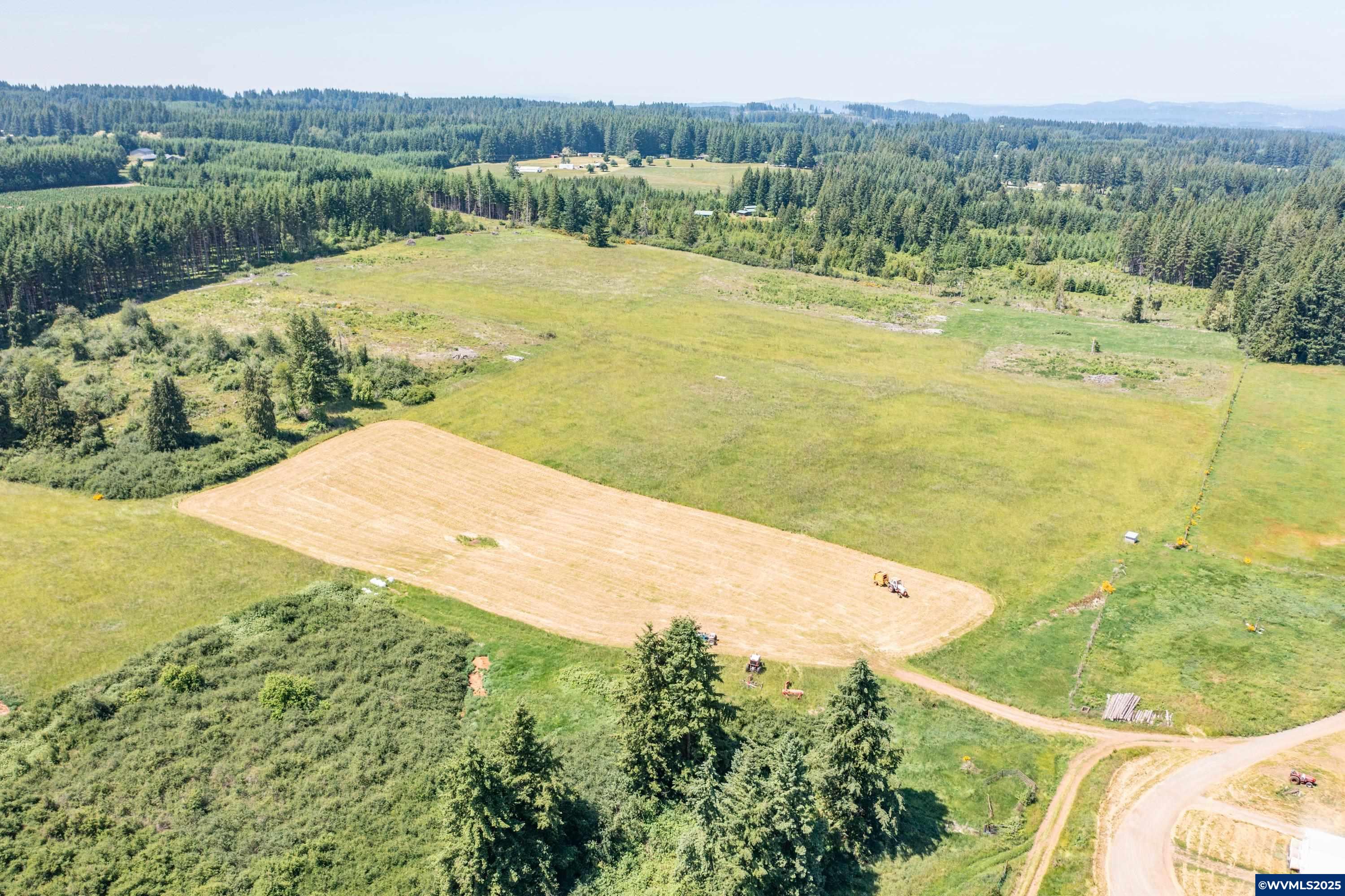 22411 South Schram Road Beavercreek, OR 97004 - Photo 7 of 13