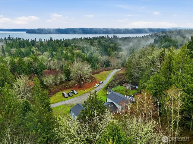 a view of a house with a yard and large trees