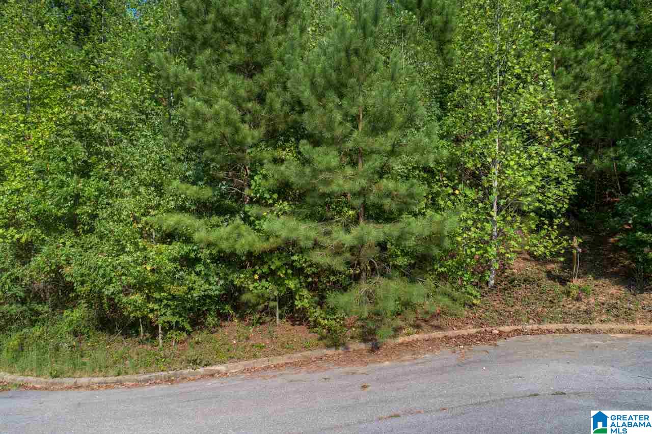 Crestview Road, Unit 80 Trussville, AL 35173 - Photo 1 of 9