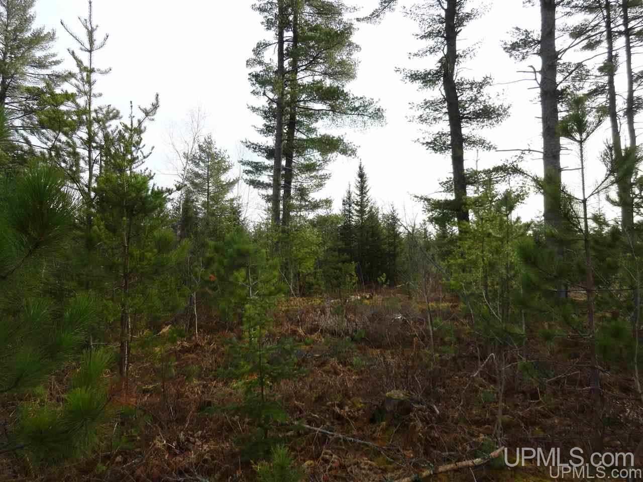 80-acres 80-acres Co Road Negaunee, MI 49866 - Photo 32 of 45
