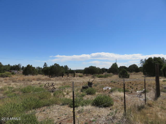 6954 Jacks High Road Show Low, AZ 85901 - Photo 11 of 42 20180703170641877209000000-o