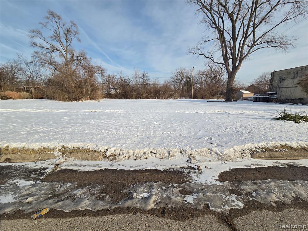 3607 Harrison Street Inkster, MI 48141 - Photo 2 of 4
