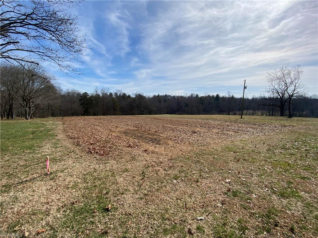 0 Romey Brown Road, Unit 2 Siloam, NC 27047 - Photo 4 of 6 Gallery Image 4